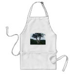 Rain Forest in Costa Rica aprons