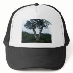 Rain Forest in Costa Rica hats