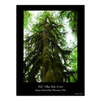 Rain Forest Mutant Poster posters by hopefulone Rain Forest Mutant Poster posters