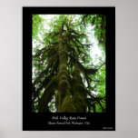 Rain Forest Mutant Poster