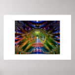 Rain Forest Posters