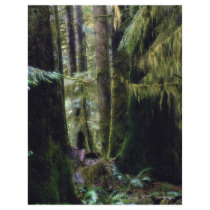 Rain forest, Tofino, British Columbia Custom Flyer