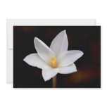 Rain Lily Invitation Card