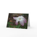 Rain Lily Sympathy cards by littlewingdesign Rain Lily Sympathy cards