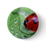Rain~Luck Button