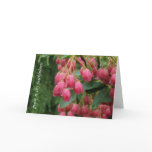 Rain on Pink Bell Flowers Card