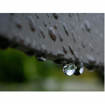 Rain Or Dew Drops photo sculptures by lifesphere Rain Or Dew Drops photo sculptures