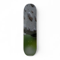 Rain Or Dew Drops Skate Decks