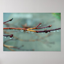 Rain Posters