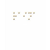 Raina in Braille t-shirts