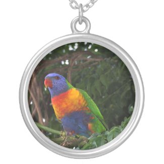 Rainblow lorikeet necklace necklace
