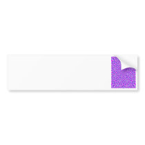 rainbow1k2i2 bumper stickers