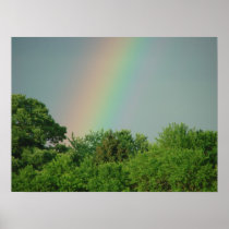 Rainbow Above The Trees Poster