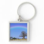 Rainbow and African baobab tree, Adansonia Key Chain