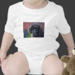 Rainbow and Sunshine - Newfoundland Tees