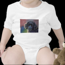 Rainbow and Sunshine - Newfoundland t-shirts