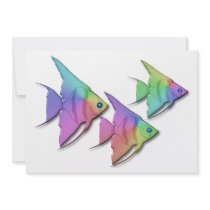 Rainbow Angel Fish Announcement