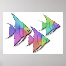 Rainbow Angel Fish Posters