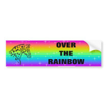 rainbow appaloosa round bumper sticker