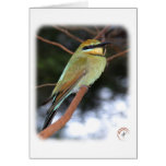 Rainbow Bee Eater 9Y209D-236 Greeting Card