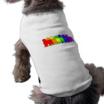 Rainbow Bernese Pet Clothes
