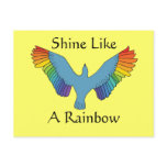 Rainbow Bird postcards