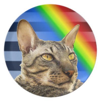 Rainbow blue stripe Cornish Rex cat plate by RexCats