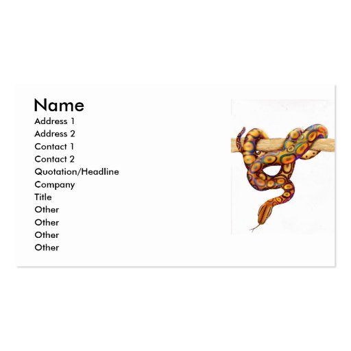 Rainbow Boa Snake Profile Card Business Card (front side)