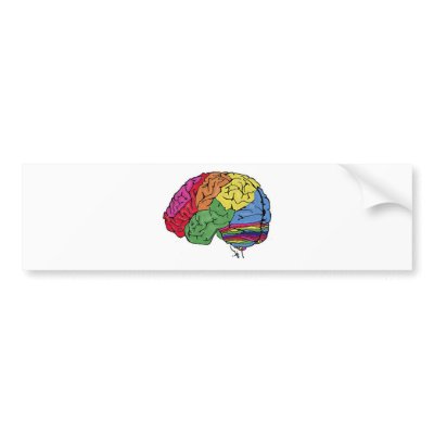 Rainbow Brain Bumper Sticker