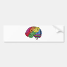 Rainbow Brain Bumper Sticker