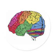 Rainbow Brain Sticker