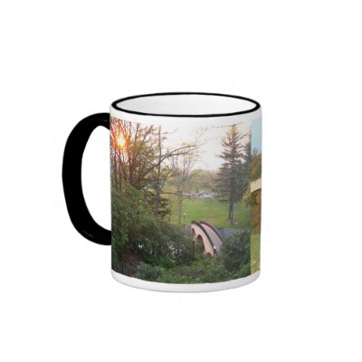 Rainbow Bridge at Grove City College Mug by mlewallpapers