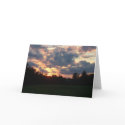Rainbow Bridge cards by abrodents Rainbow Bridge cards