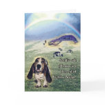 Rainbow Bridge card