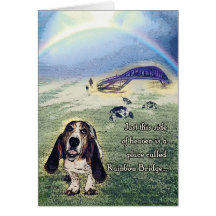 Rainbow Bridge card