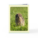 Rainbow Bridge Dog Cards by WesternWeddings Rainbow Bridge Dog Cards