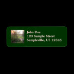 Rainbow Bridge in Fall Address Label
