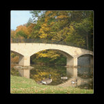 Rainbow Bridge in Fall Magnet