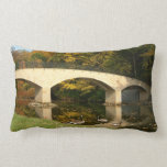 Rainbow Bridge in Fall Pillow