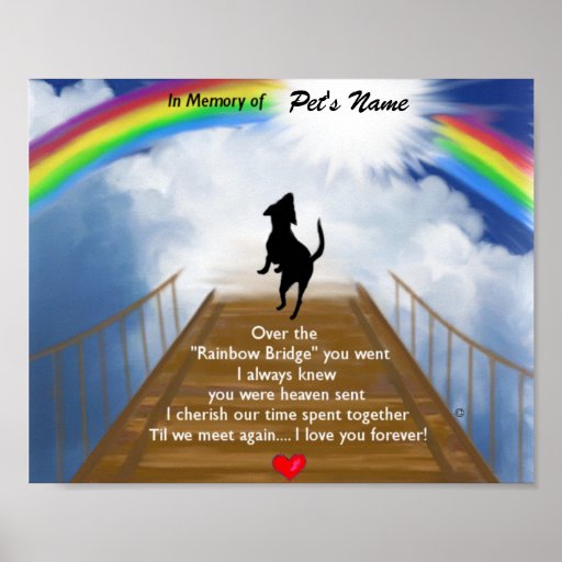 Rainbow Bridge Memorial Poem for Dogs Posters Zazzle
