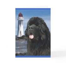 Rainbow Bridge Newfoundland dog Greeting Card