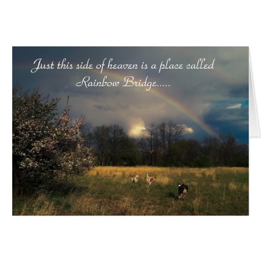 Rainbow Bridge Pet Sympathy Card Zazzle Rainbow Bridge Pet Sympathy Card Zazzle