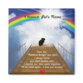Rainbow Bridge Poem for Hamsters 2 Inch Square Magnet