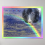 Rainbow Bridge Poem Pet Loss Memorial Poster