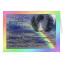 Rainbow Bridge Poem Pet Loss Sympathy Card