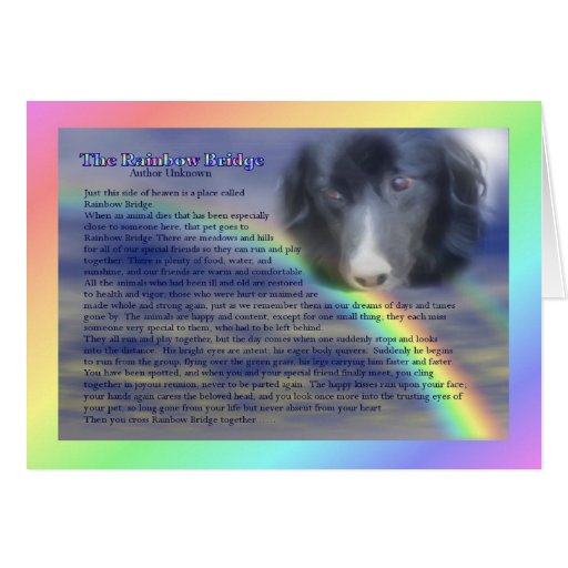 Rainbow Bridge Poem Pet Death Printable