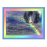Rainbow Bridge Poem Pet Loss Sympathy Postcard