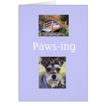 Rainbow Bridge Sympathy Card cards