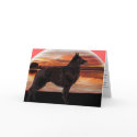Rainbow Bridge Sympathy Card: Belgian Tervuren