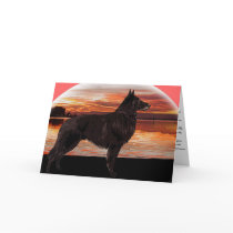 Rainbow Bridge Sympathy Card: Belgian Tervuren